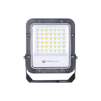 Floodlight LED PROXIM+ 30W 6500K 4500lm 230V IP65 Forever Light 150lm/W 5 years warranty