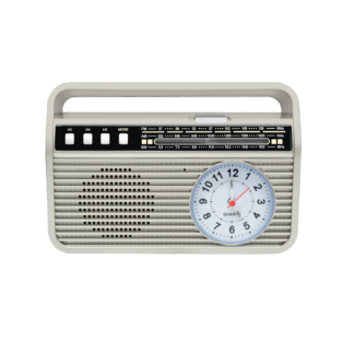 Setty Bluetooth speaker with radioMD-500BT