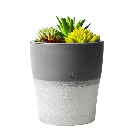 Setty humidifier NP-18 grey - imagine 3