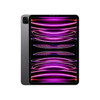 Folie silicon regenerabil Apple iPad Pro 11 (2022)
